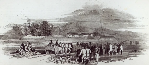 Île Norfolk, tiré de 
